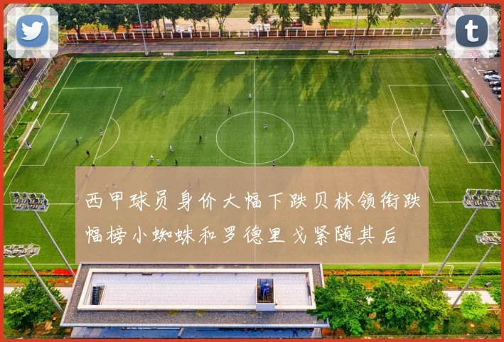 西甲球员身价大幅下跌贝林领衔跌幅榜小蜘蛛和罗德里戈紧随其后
